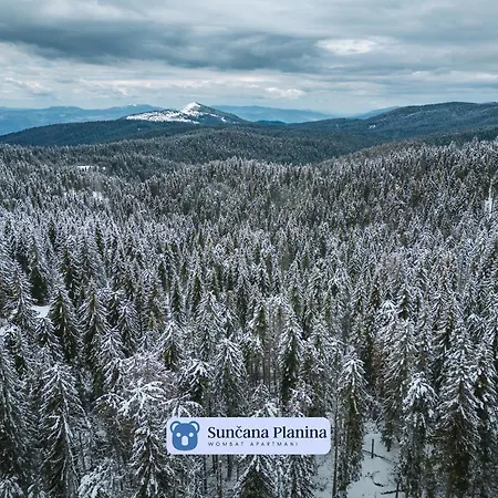 Suncana Planina - Wombat Kopaonik