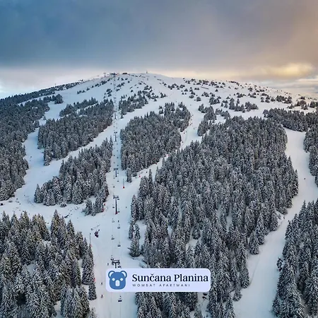 Suncana Planina - Wombat