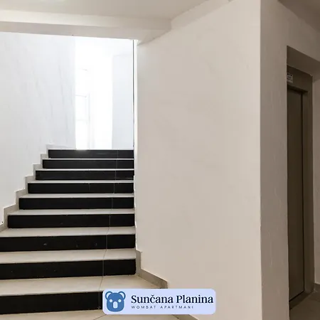 Suncana Planina - Wombat